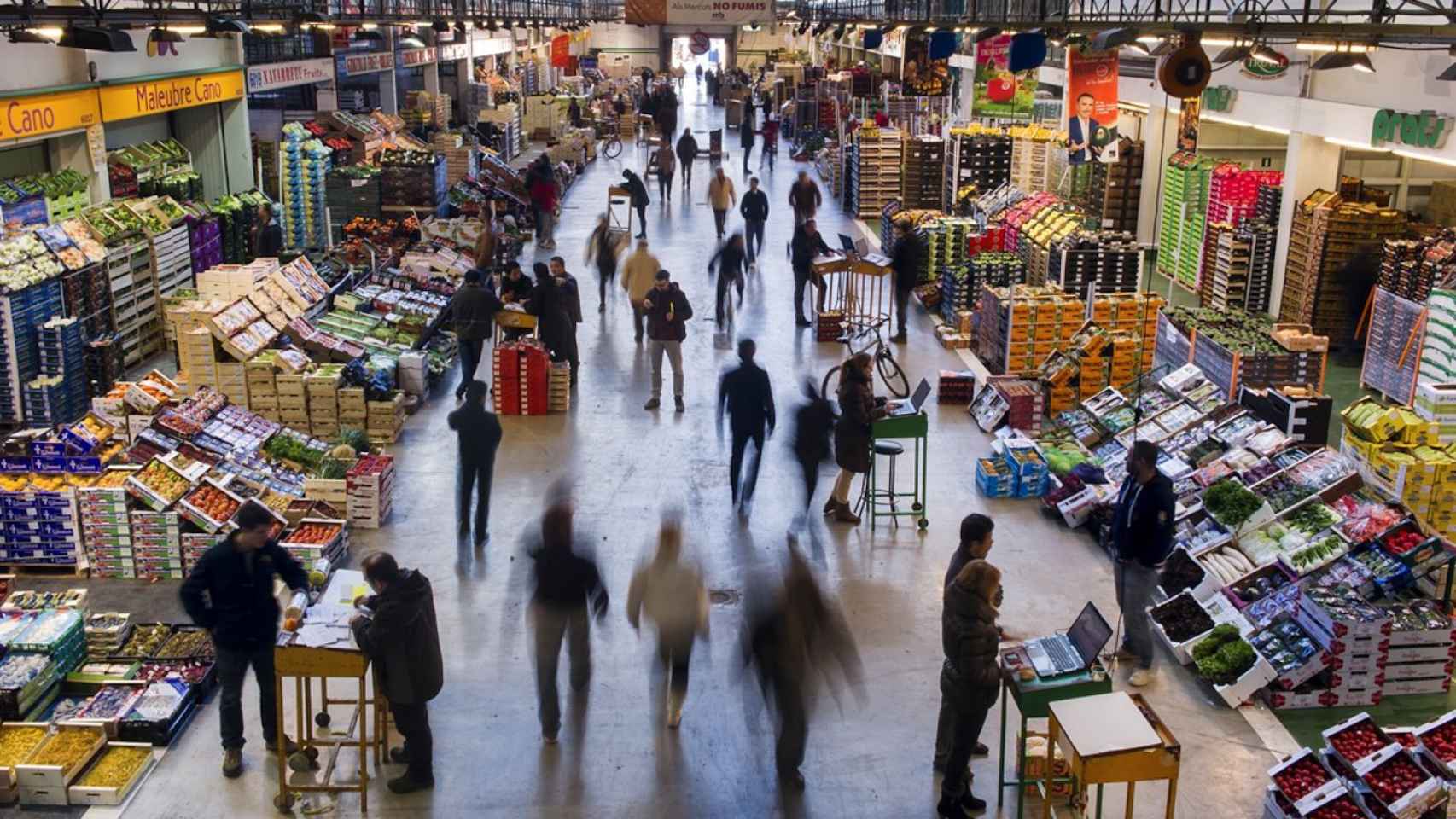 Imagen de las instalaciones de Mercabarna, donde Alimentos del Pacífico tiene su sede / CG