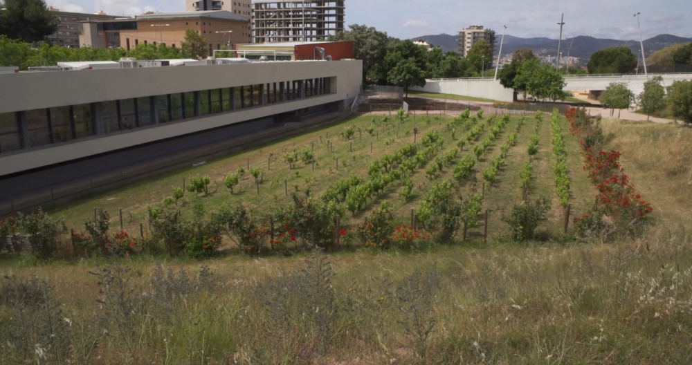 Parc de la Fontsanta / AMB