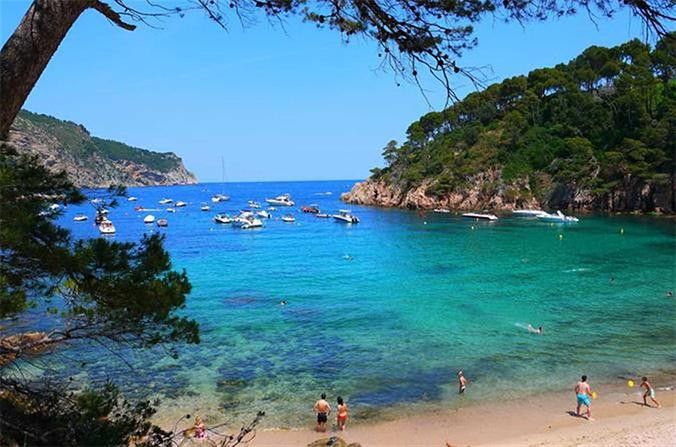 Playa en la Costa Brava / TRIPADVISOR