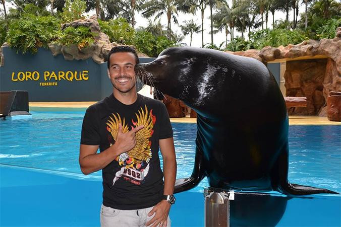 El futbolista Pedro (Chelsea) en una visita a Loro Parque hace algunos años / LORO PARQUE