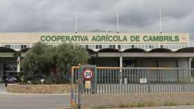 Instalaciones de Cooperativa Agrícola de Cambrils / CG