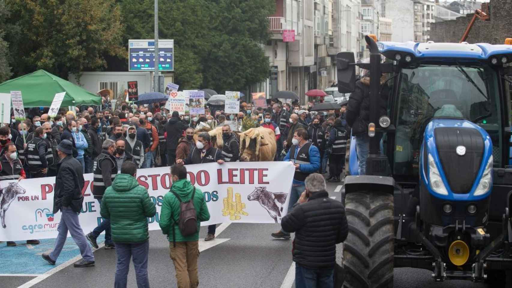 Agricultores y ganadores protestan contra el encarecimiento del precio de la leche /EP