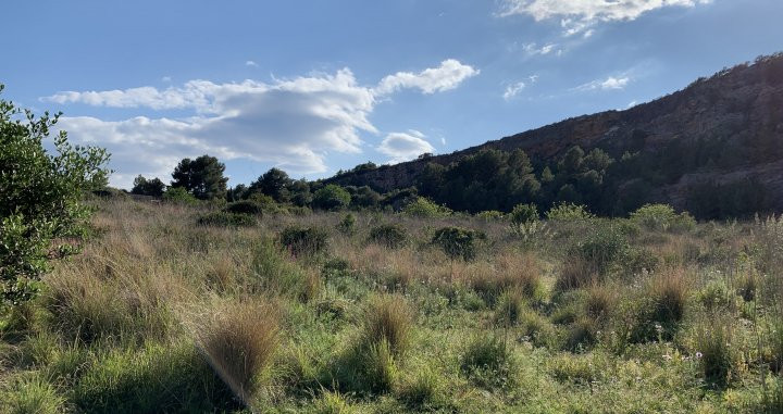 Uno de los terrenos visitados por los Messi cerca de la urbanización Garraf II / CULEMANIA