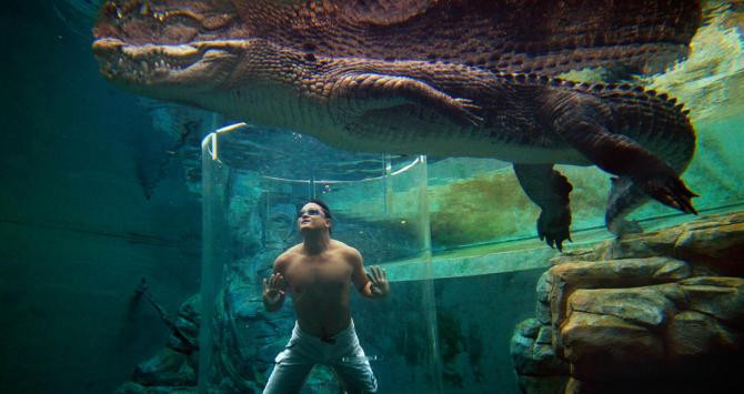 Atracción del parque Crocosaurus Cove / CROCOSAURUS COVE