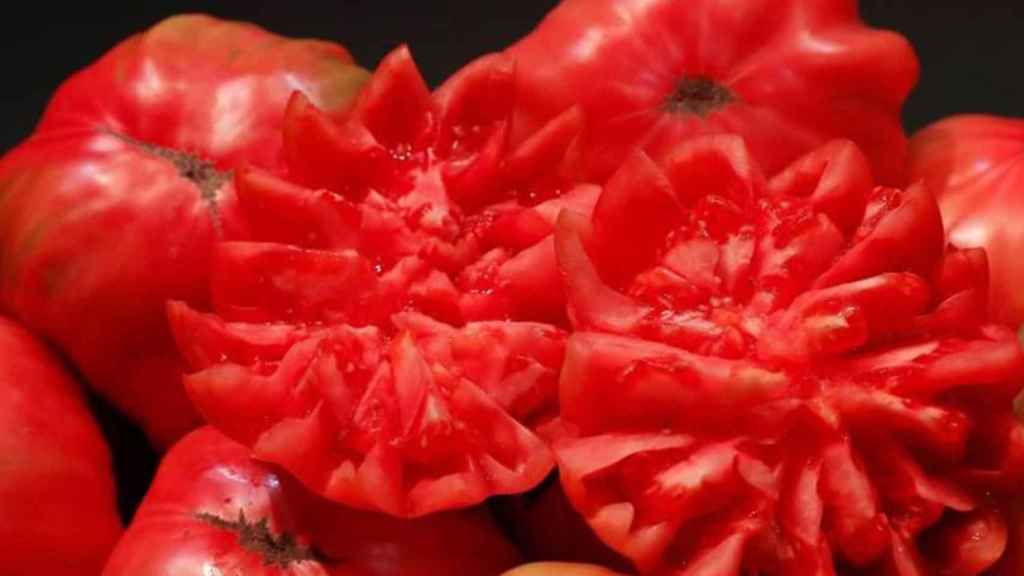 Detalle de tomates cortados y expuestos / EFE