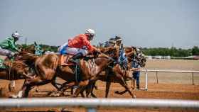 Carrera hípica, las apuestas deportivas tienen mucho tirón / PEXELS