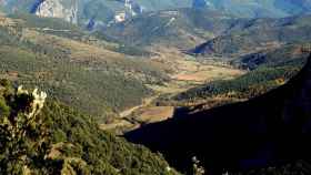 Paisaje rural de la Alta Garrotxa / CONSORCI FORESTAL DE CATALUNYA