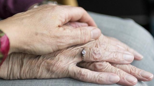 Un estudio de la Universidad de Barcelona identifica un tratamiento contra el Alzheimer / PIXABAY