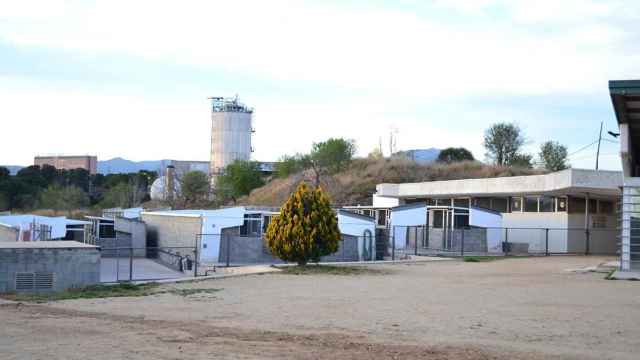 El Centro de Atención  de Animales Domésticos (CAAD) de Terrassa / AYUNTAMIENTO DE TERRASSA