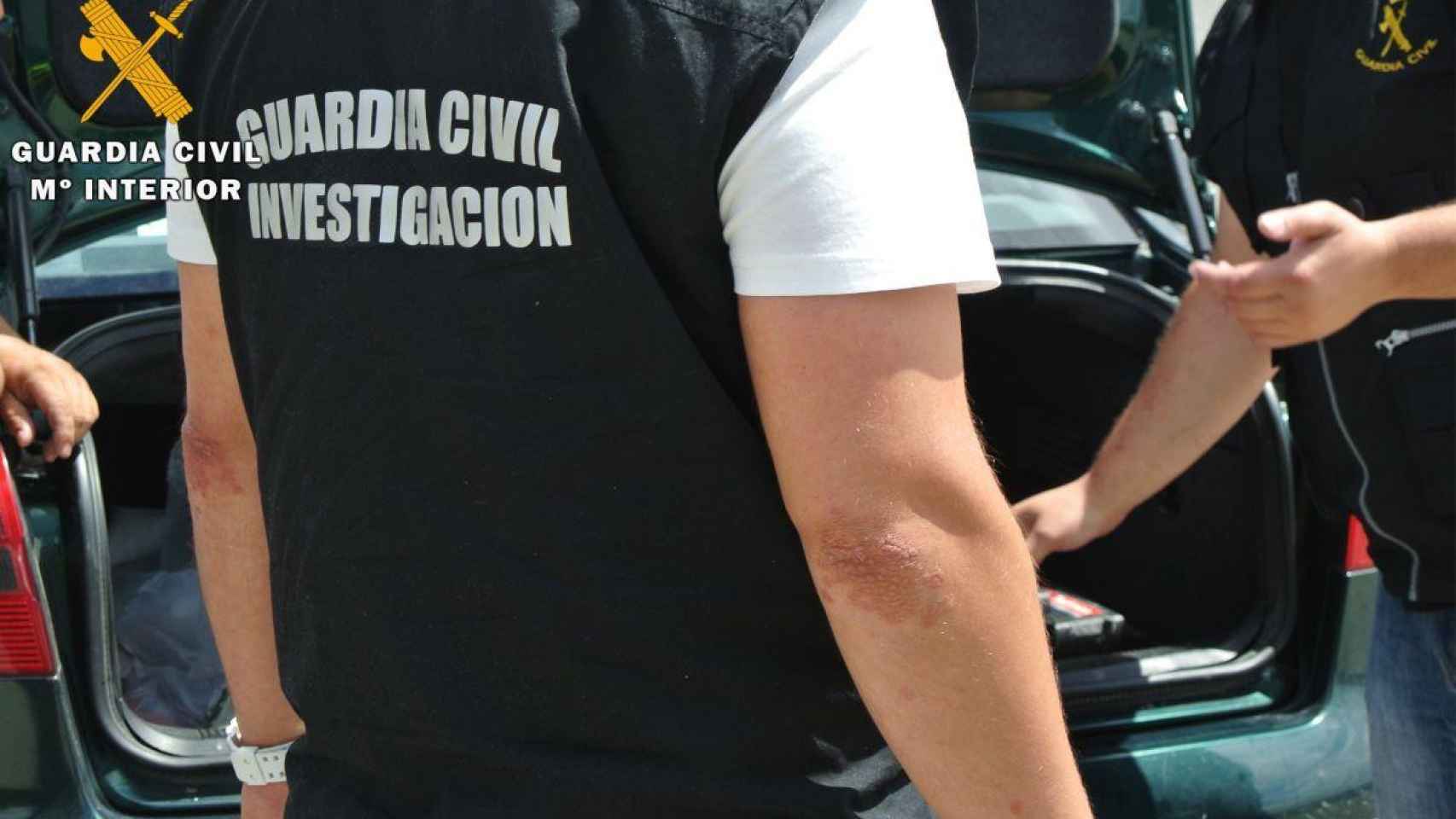 Imagen de un agente de la Guardia Civil / GUARDIA CIVIL