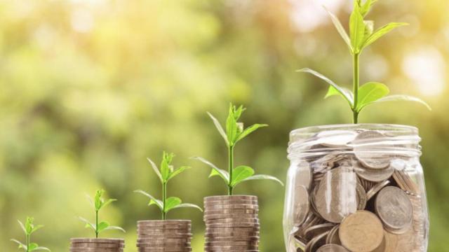 Dinero y crecimiento