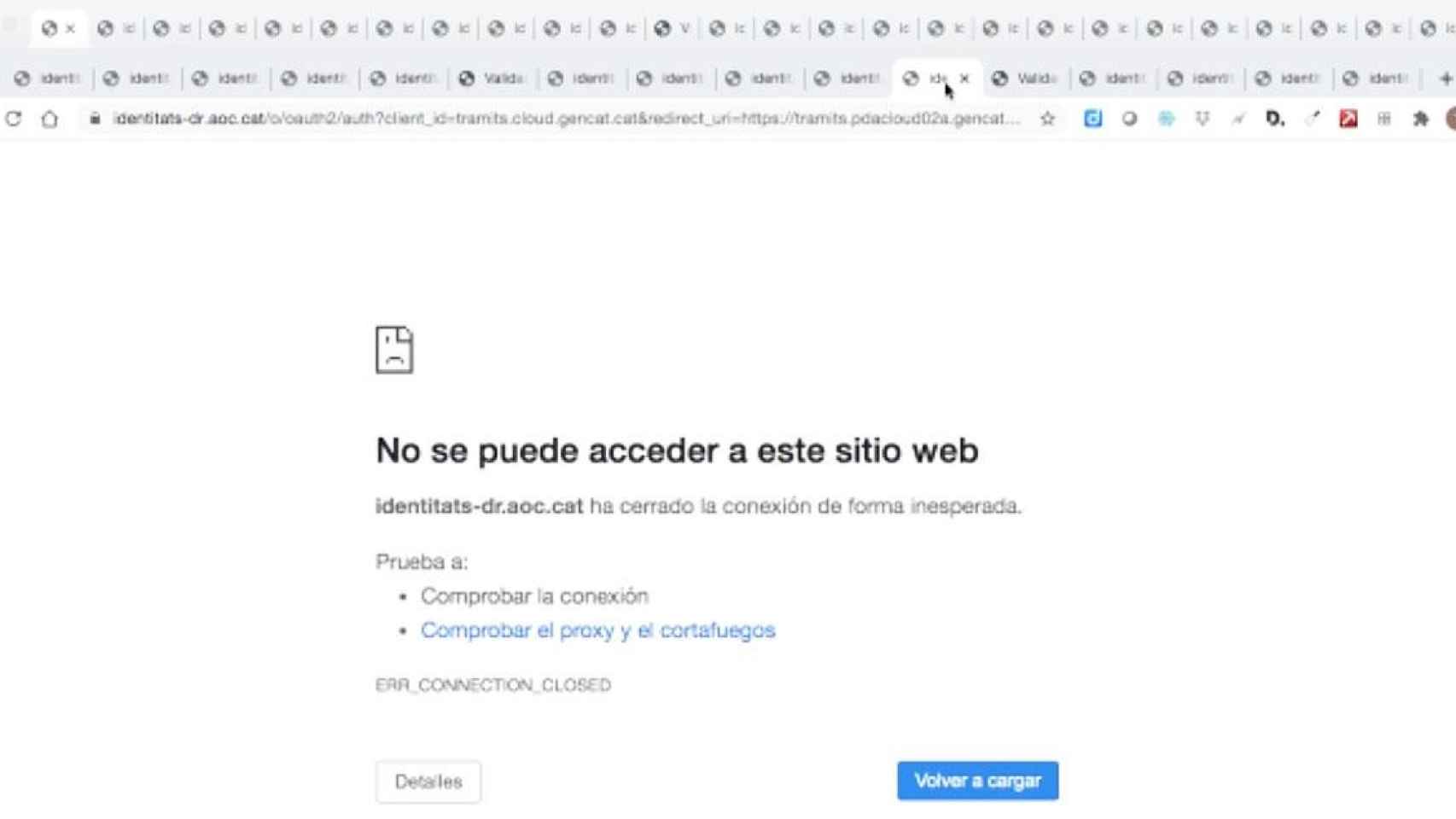 Imagen del error que retorna la web del Govern de ayudas para autónomos / CG