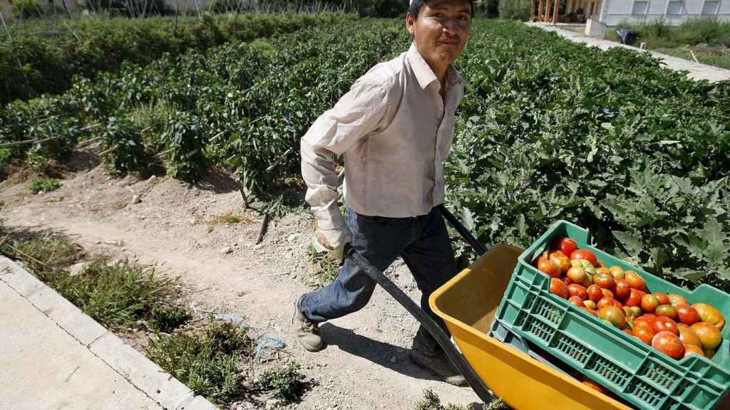 El sector de la agricultura prepara su disrupción tecnológica / EP