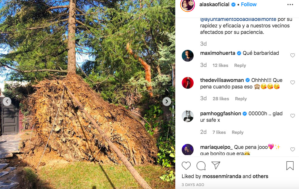 Alaska comparte en redes sociales el estado de su jardín tras el fuerte temporal de viento / INSTAGRAM