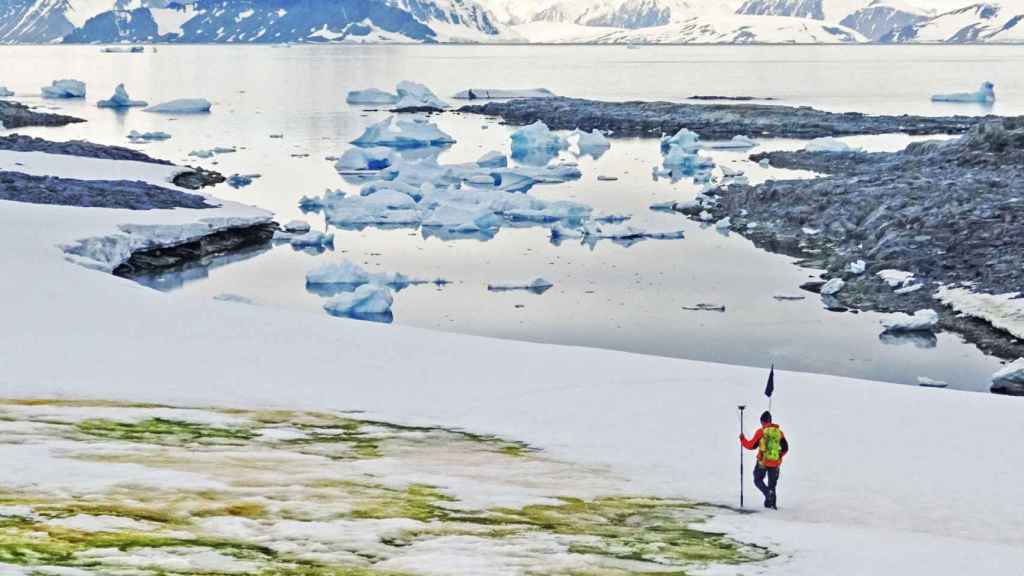 La nieve desaparece y deja paso a una floración verde por efecto del cambio climático / EP