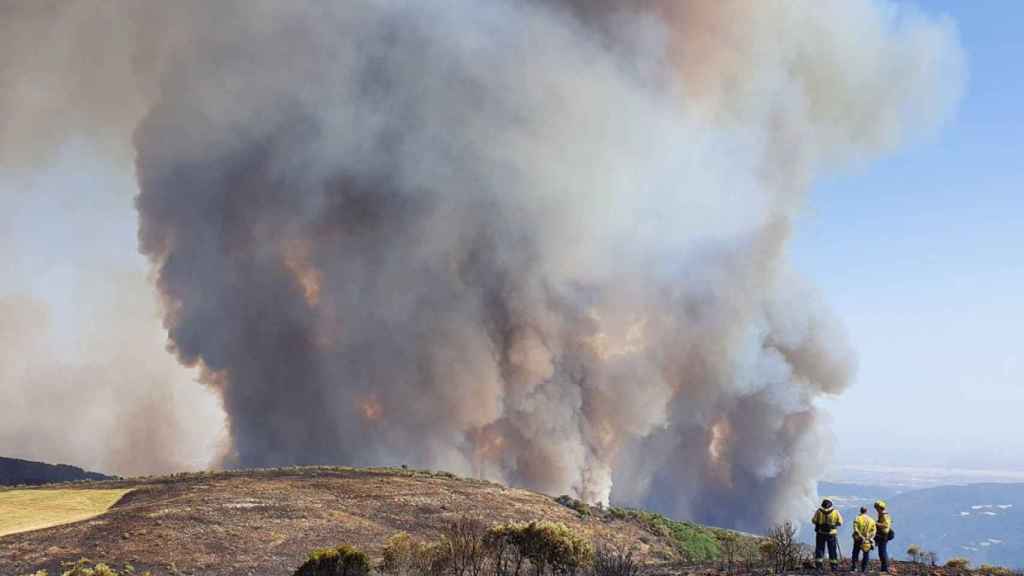 Incendio en Olivella (Barcelona), uno de los 30 que registra Cataluña / BOMBEROS DE LA GENERALITAT