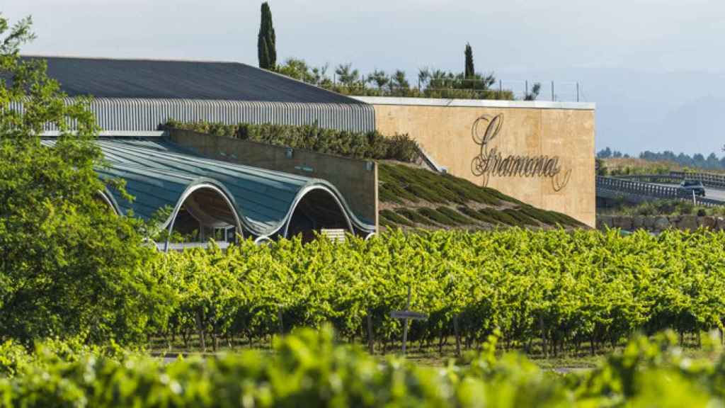 Una zona de viñedos de la bodega Gramona / TWITTER