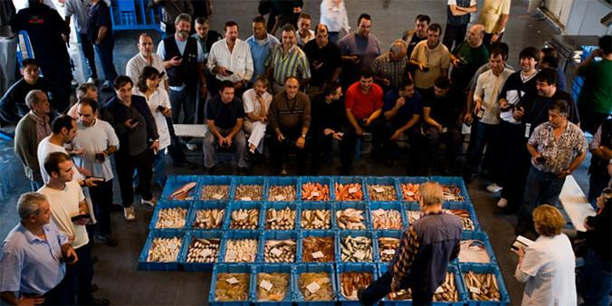 Subasta de pescado en la lonja de Arenys de Mar / BCN+