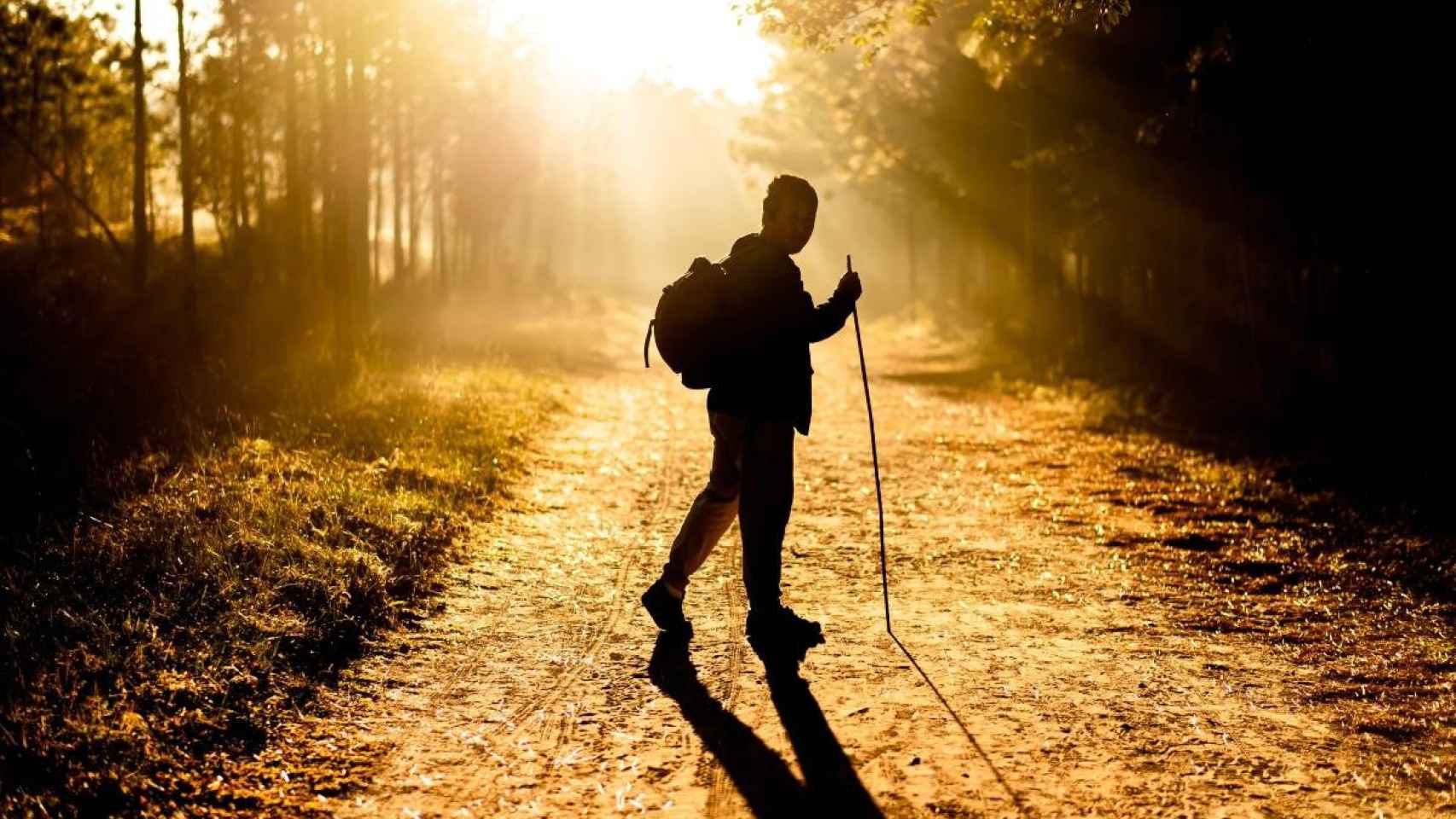 Un hombre caminando por una vías verdes / Mr Autthaporn en UNSPLASH