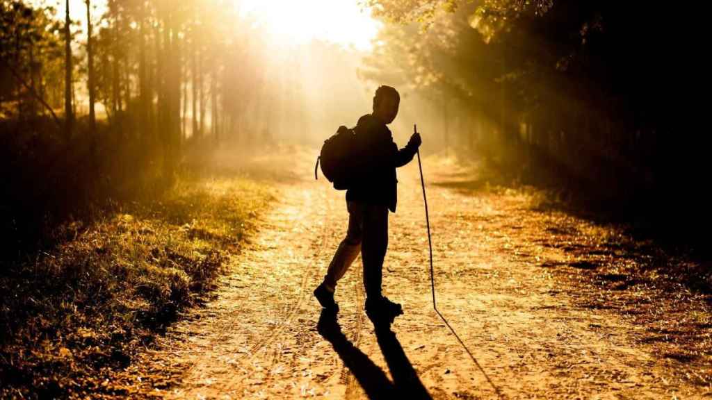 Un hombre caminando por una vías verdes / Mr Autthaporn en UNSPLASH