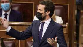 El líder del PP, Pablo Casado, en una sesión de control en el Congreso / EP