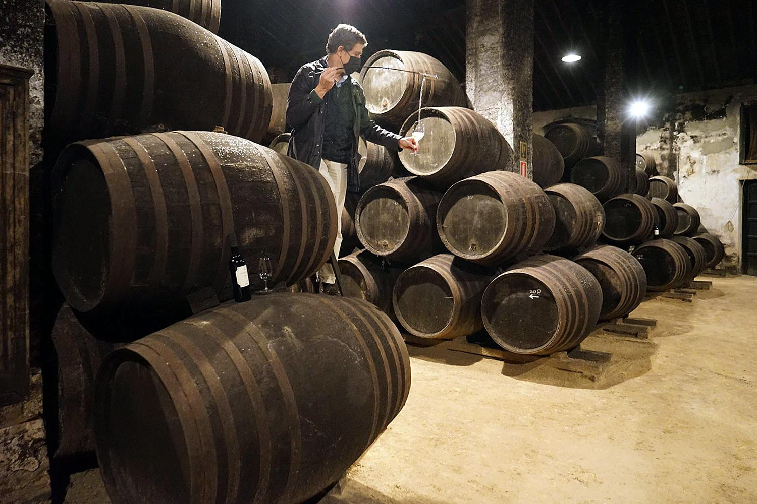 Fernando Hidalgo es ya la quinta generación de la Bodega Emilio Hidalgo / YOLANDA CARDO