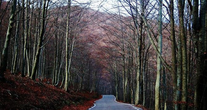 Vistas al Montseny / Makunin en Pixabay