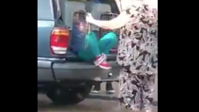 Una foto de una de las menores saliendo del transportín en el maletero del coche junto a la detenida