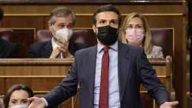 Pablo Casado, en el Congreso de los Diputados / EP