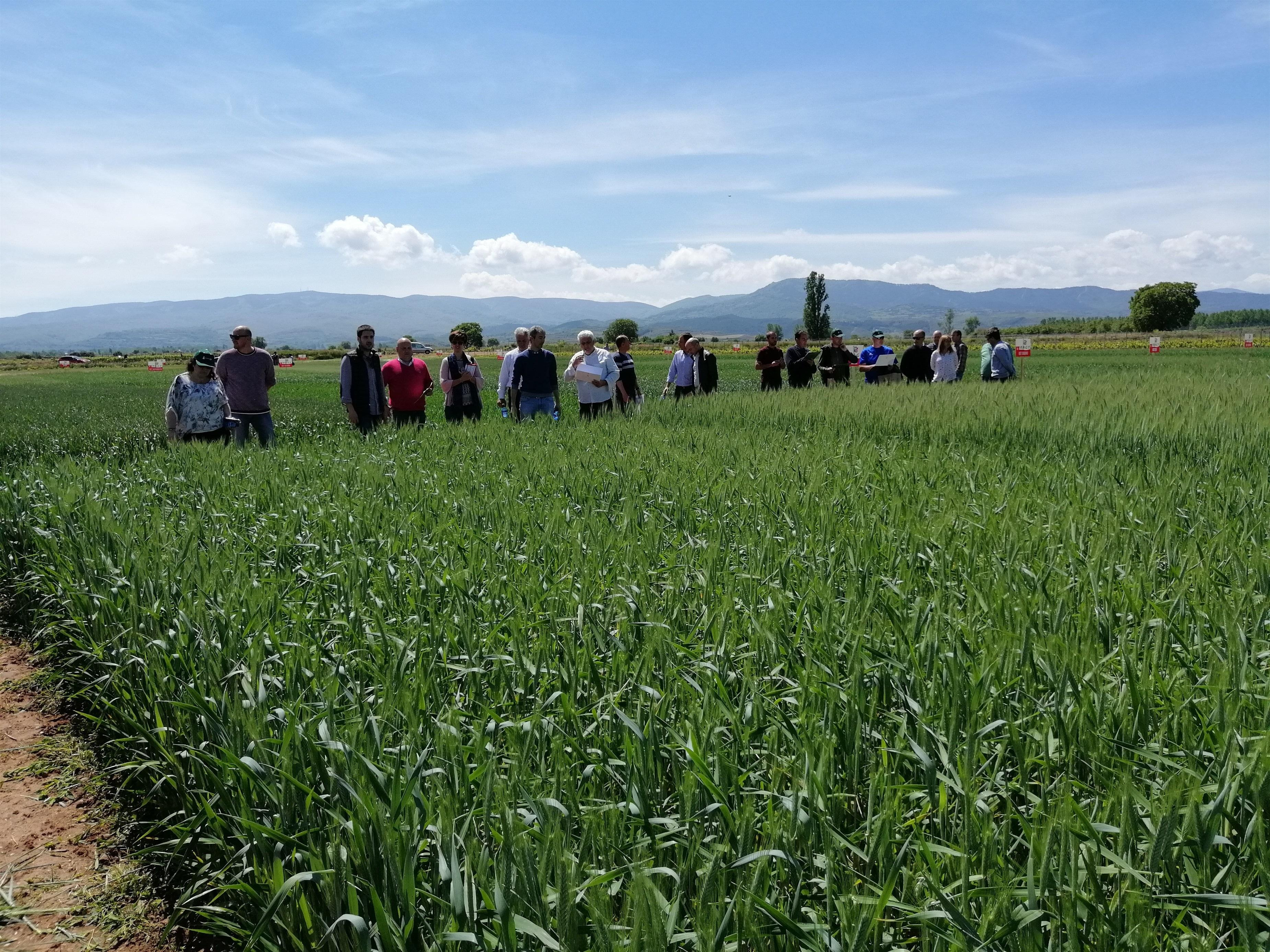 Agricultores del cereal posan para una fotografía / EP