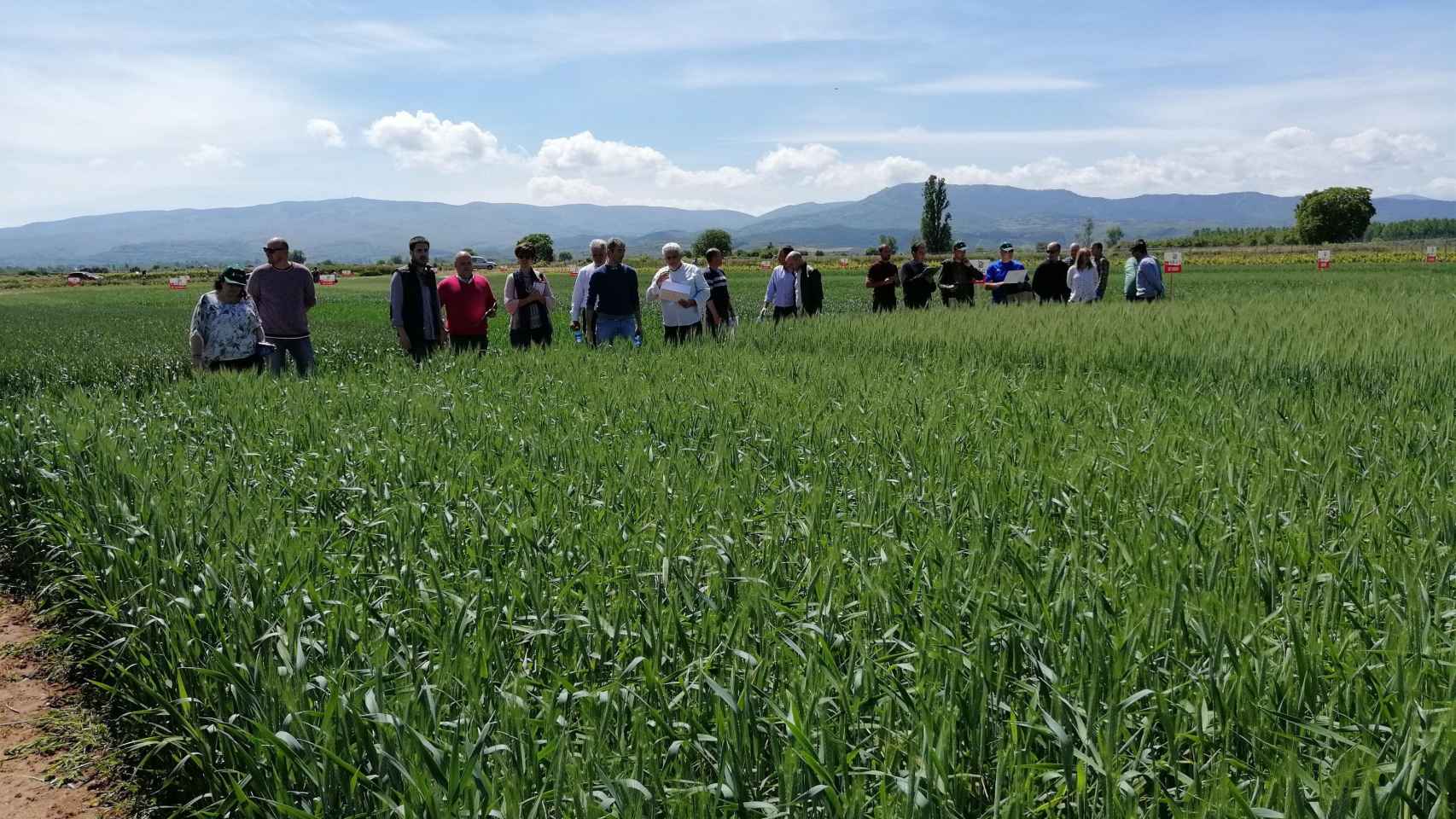 Agricultores del cereal posan para una fotografía / EP