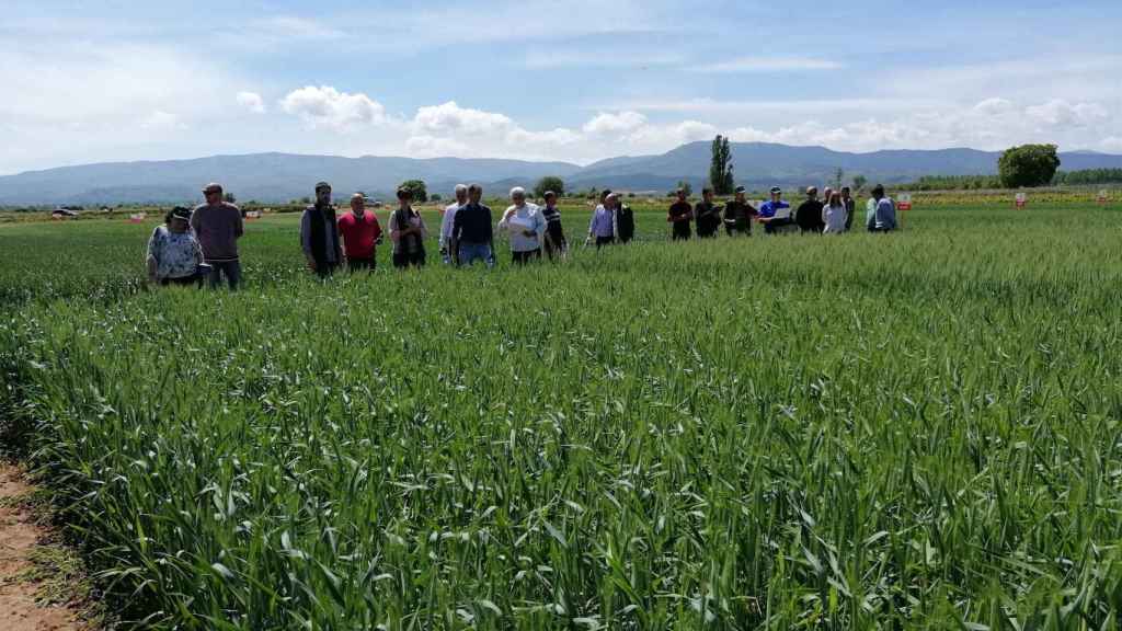 Agricultores del cereal posan para una fotografía / EP