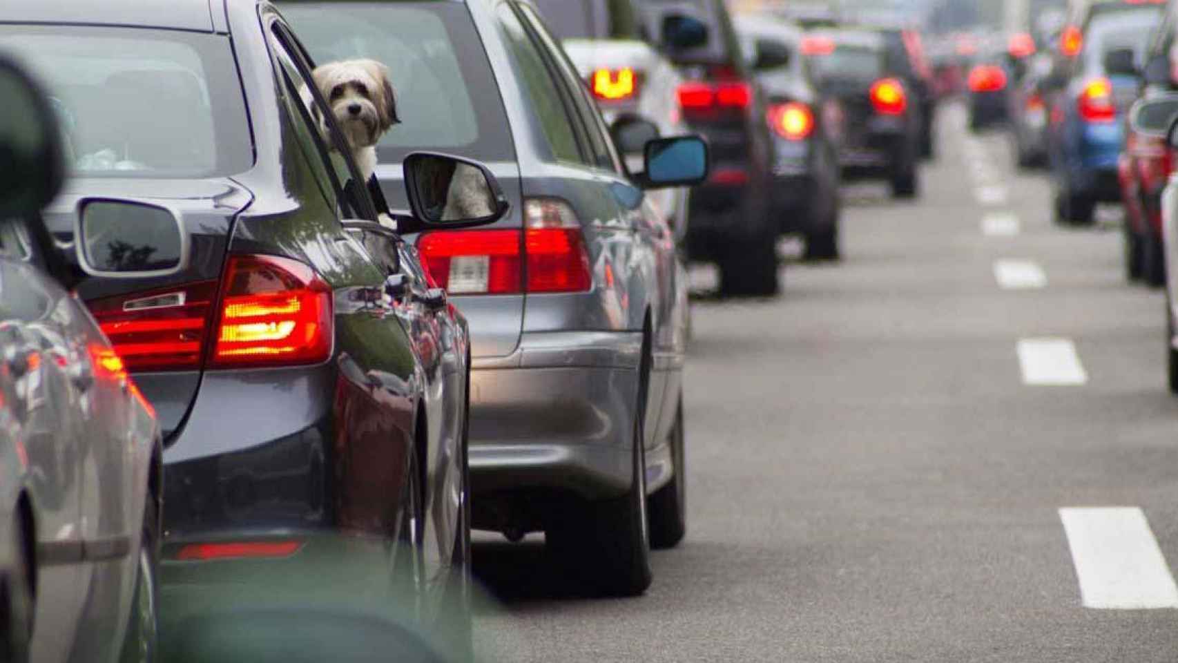 Coches circulan por una carretera / CG