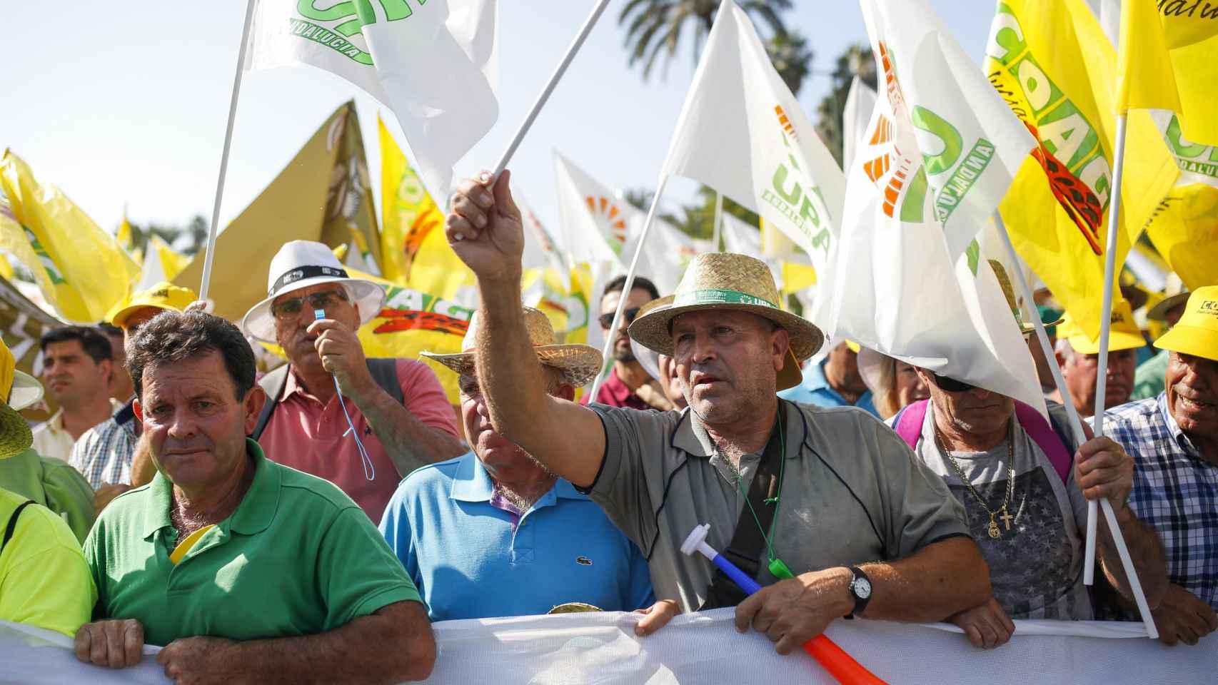 Olivareros manifestándose para reclamar mejores condiciones para el sector / EUROPA PRESS