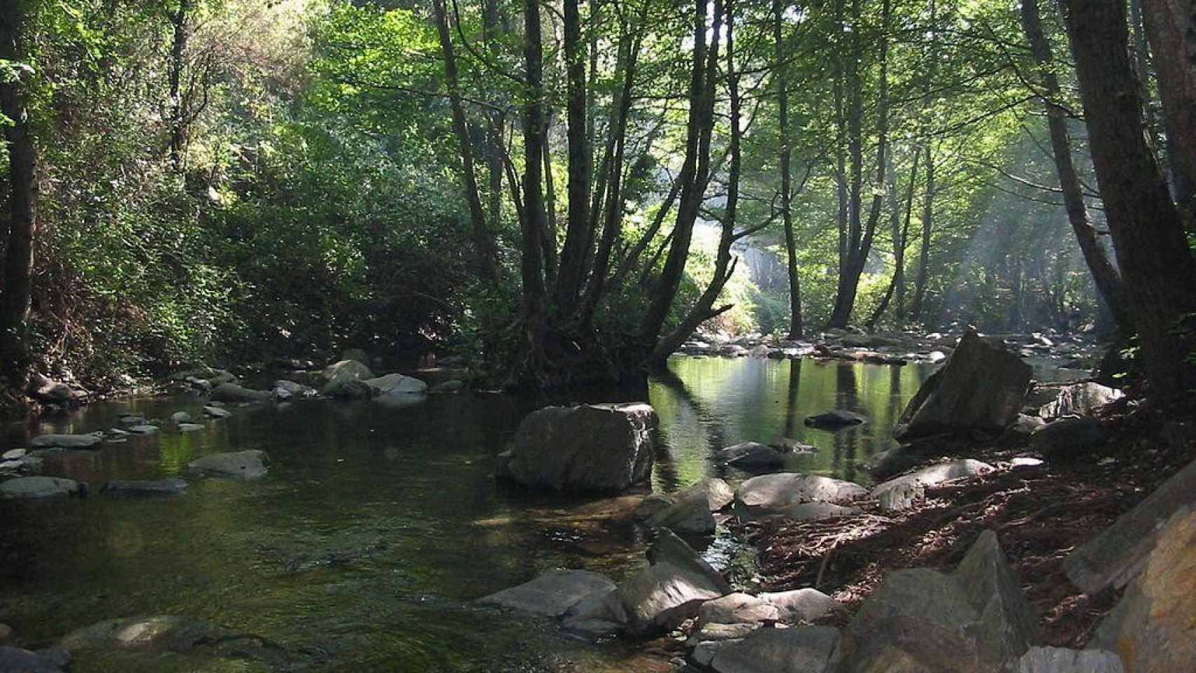 Una de las mejores rutas que se pueden hace en el Parque Natural del Montseny / Xavi Givax CON LICENCIA CREATIVE COMMONS 3.0