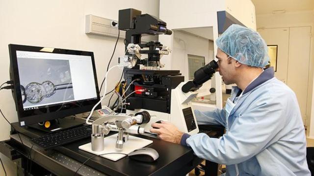 El doctor Nuno Costa-Borges, director científico y cofundador de Embryotools / ARDUINO VANNUCCHI