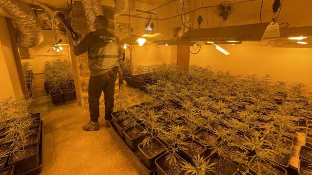 Macroplantación desmantelada por la Guardia Civil en Girona / GC