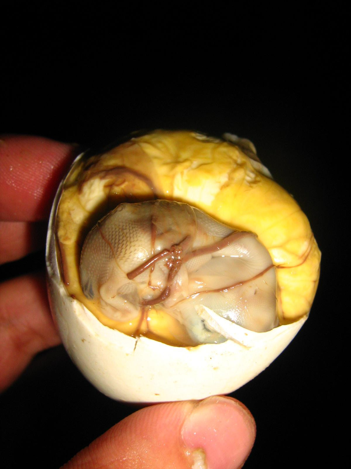 Balut / WIKIMEDIA COMMONS