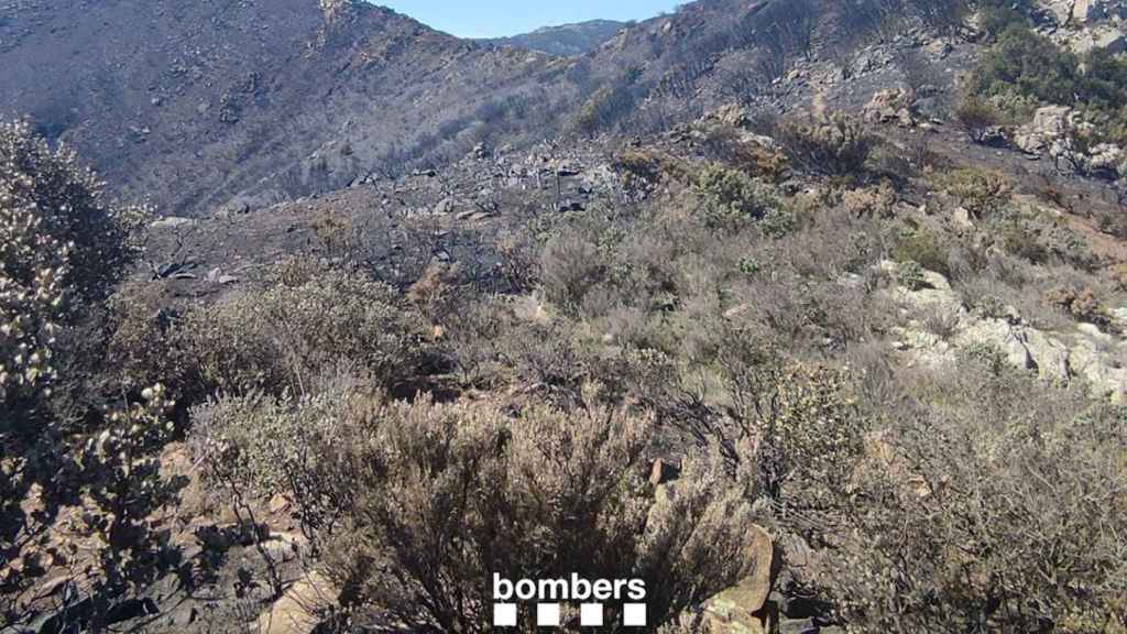 Puig de Querroig, en el Alt Empordà, zona afectada por el incendio / BOMBERS