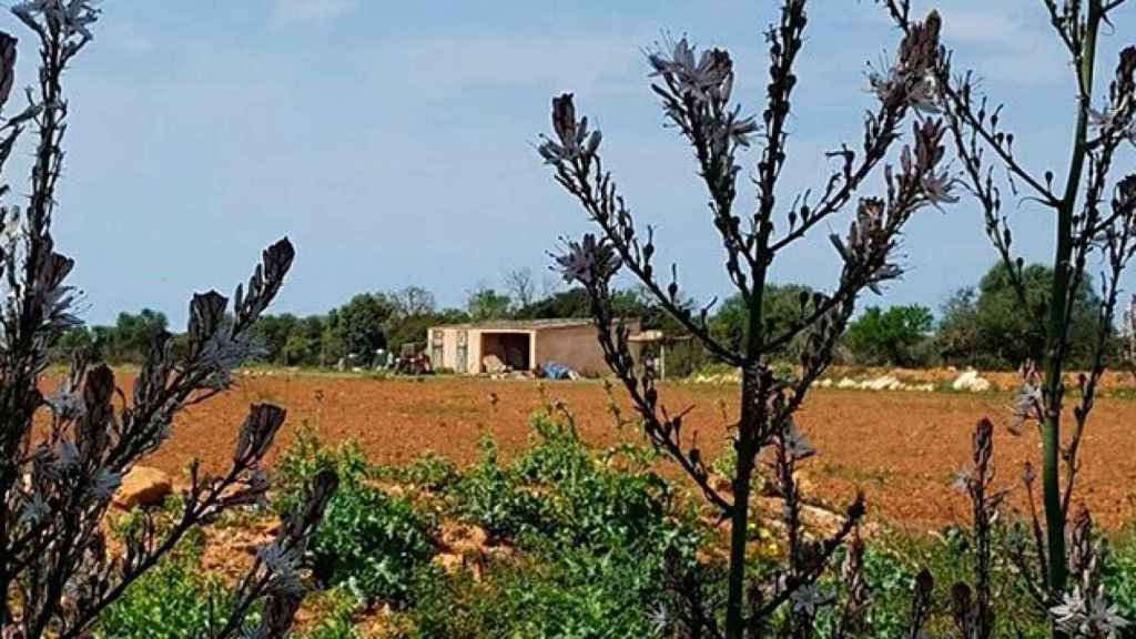 Lugar de Mallorca donde fueron encontrados los cadáveres de la mujer ahorcada y el bebé asesinado por esta