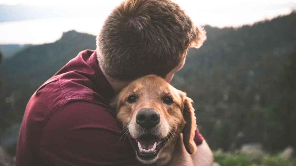 Chico abrazando a un perro / ERIC WARD EN UNSPLASH