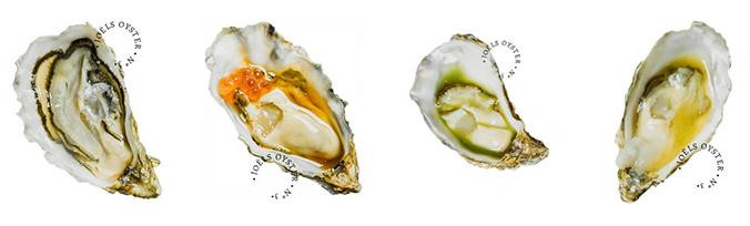 Variedades de ostras en Joel’s Oyster Bar / JOEL'S OYSTER BAR