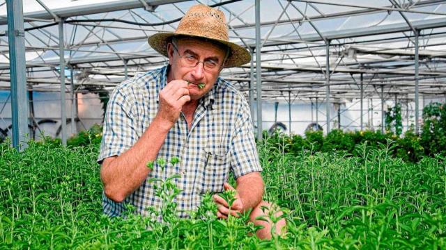 Josep Pàmies, el curandero investigado por sus remedios caseros contra el coronavirus y una reunión de 100 personas sin protección / CG