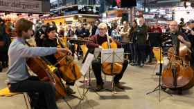 Varios músicos del Gran Teatro del Liceo interpretan obras de Bach en el mercado de La Boquería de Barcelona / GALA ESPÍN - CG