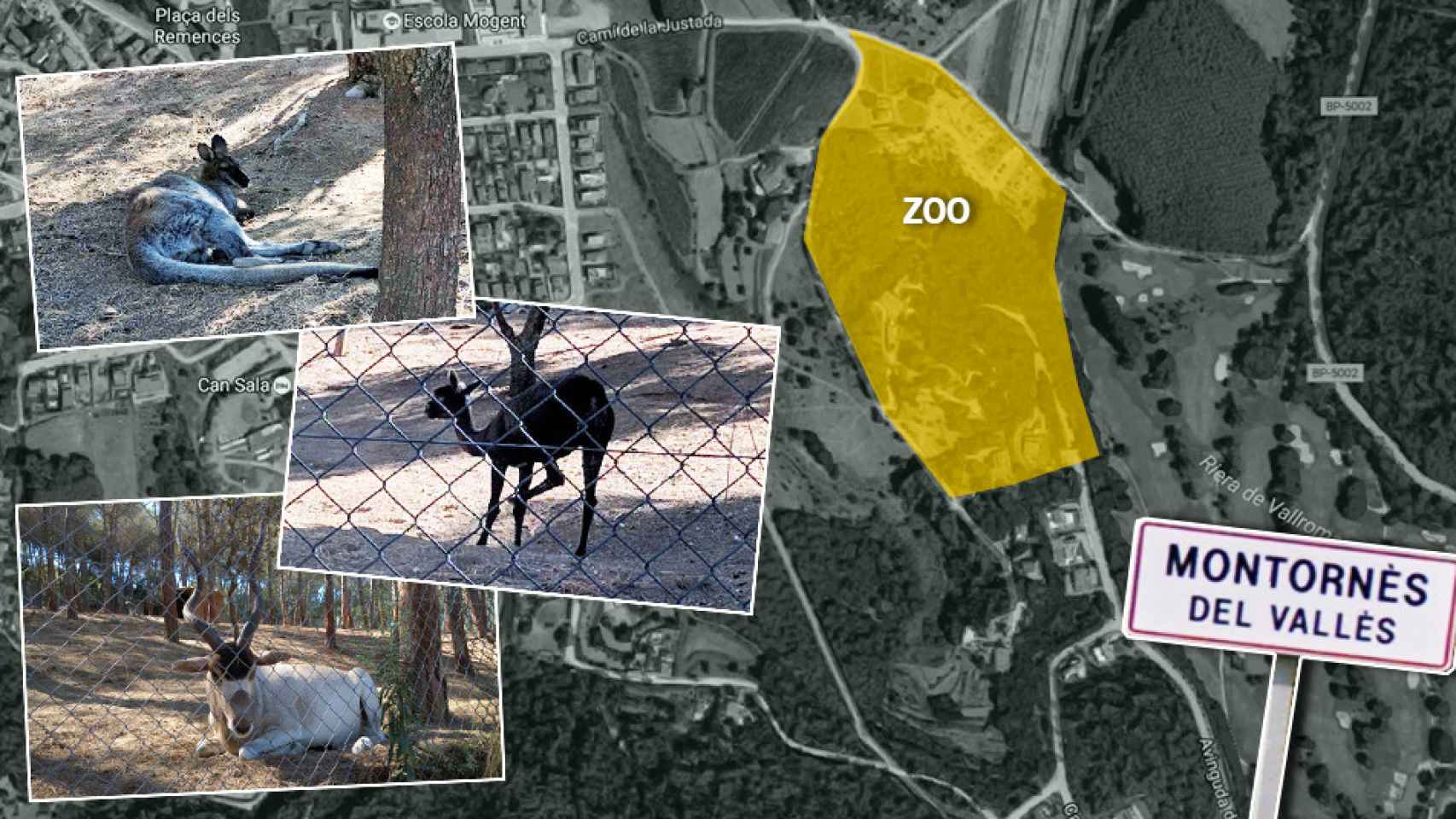 Imagen del área del zoo privado de Montornès del Vallès y algunos de sus animales. / Fotomontaje CG