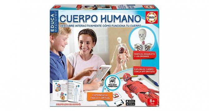 Cuerpo humano