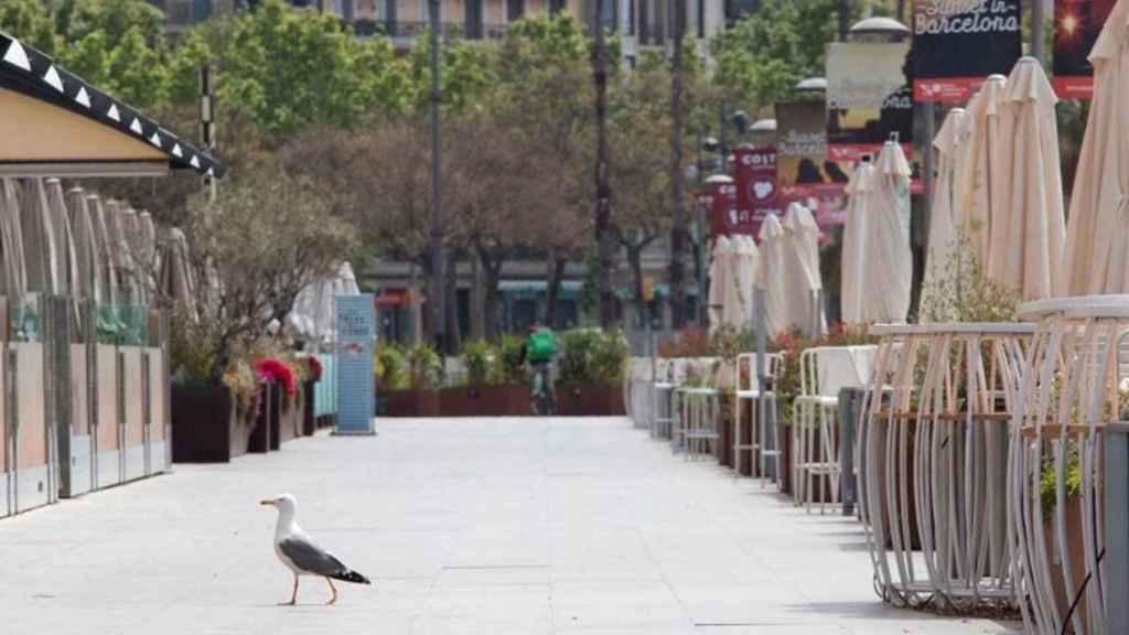 Imagen de terrazas sin actividad junto al Port Vell de Barcelona / EFE