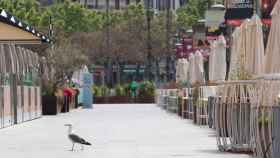 Imagen de terrazas sin actividad junto al Port Vell de Barcelona / EFE