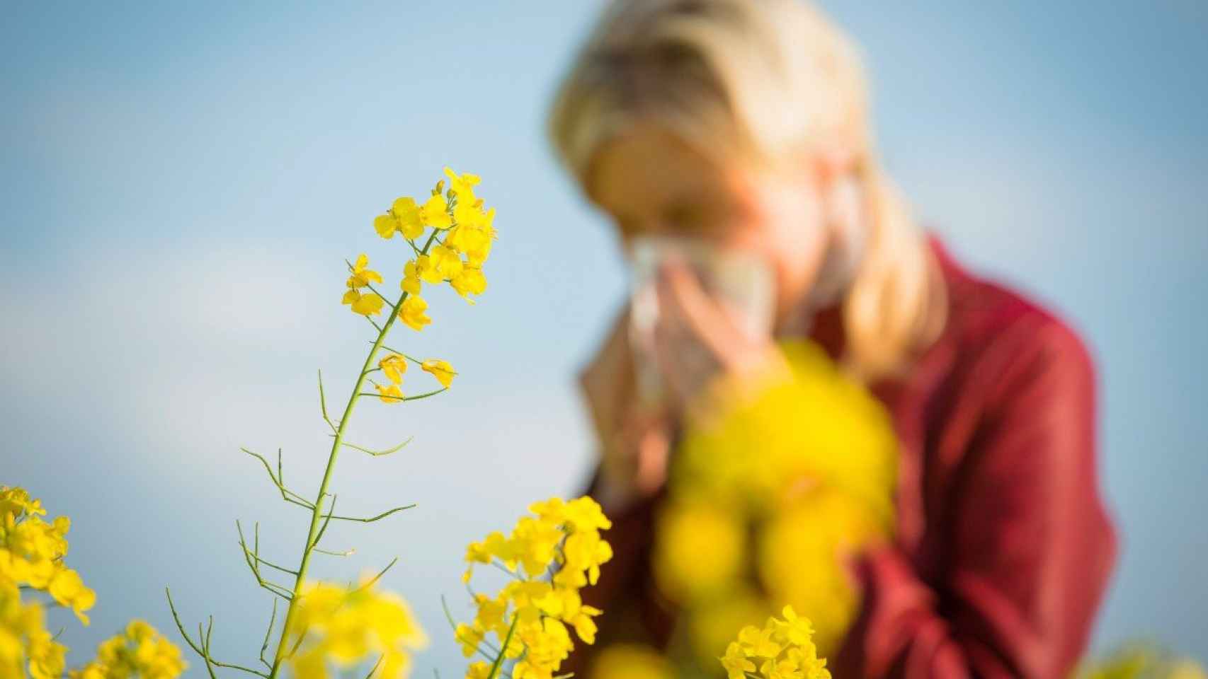 Las alergias son uno de los principales problemas durante la primavera