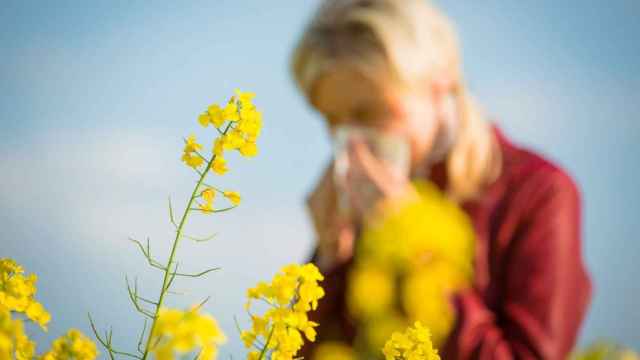Las alergias son uno de los principales problemas durante la primavera